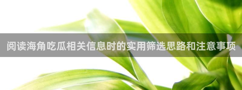 91吃瓜网站入口：阅读海角吃瓜相关信息时的实用筛选思路和注意事项