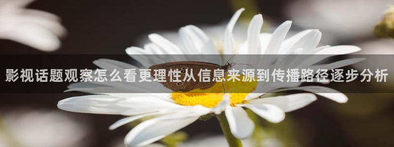 吃瓜今日事件：影视话题观察怎么看更理性从信息来源到传播路径逐步分析