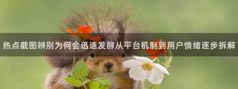 91吃瓜事件信息:热点截图辨别为何会迅速发酵从平台机制到用户情绪逐步拆解