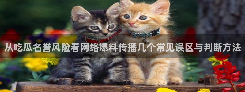 吃瓜入口导航